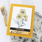 Simon Says Stamps Dies and Stencils Butterfly Blossoms set942bb Rain or Shine Sympathy Card CZ Design | color-code:ALT04