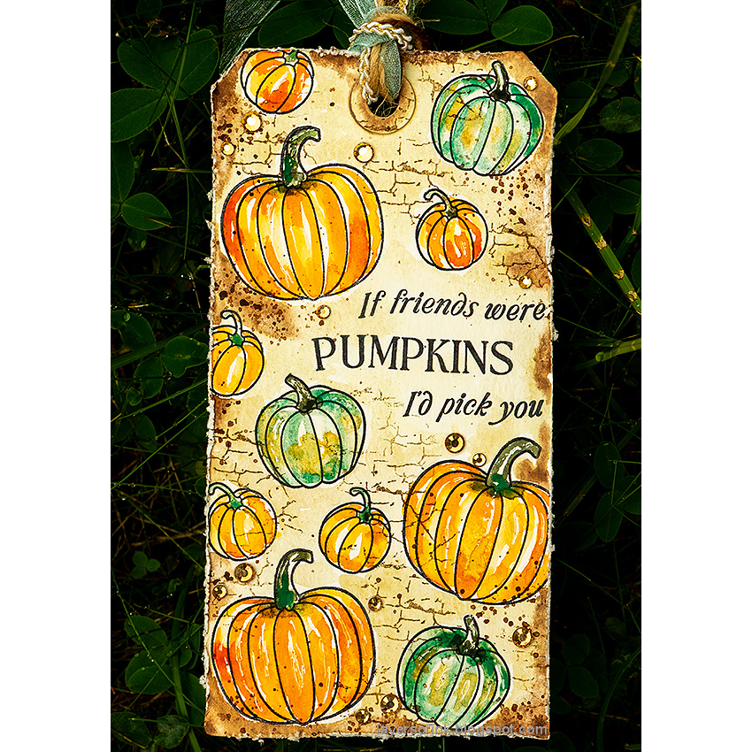 Simon Says Stamps Dies and Stencils Pumpkin Blessings set1051pb STAMPtember Friend Tag | color-code:ALT01 Anna-Karin Evaldsson Crackle Background