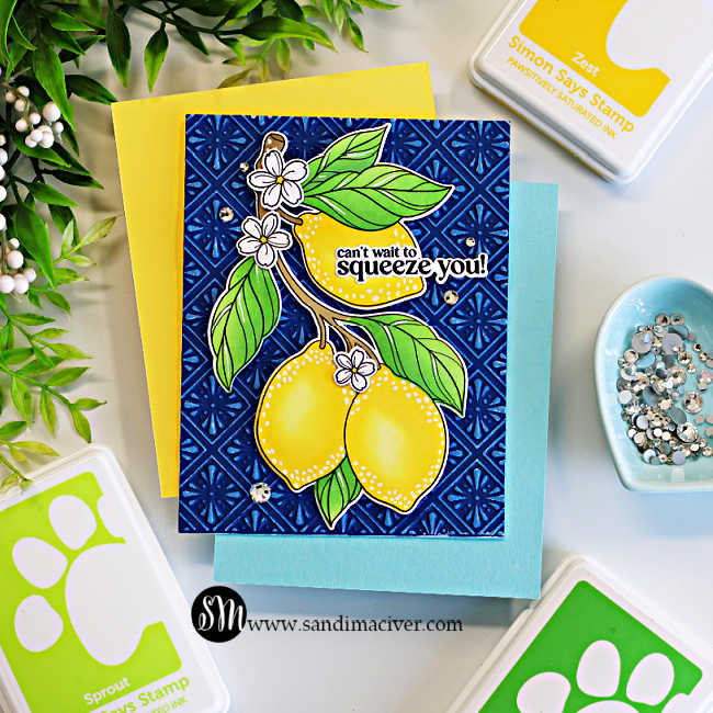 Simon Says Stamps Dies and Stencils Squeeze You set1294sy Every Happiness Sandi MacIver Tiles and Lemons Card | color-code:ALT01