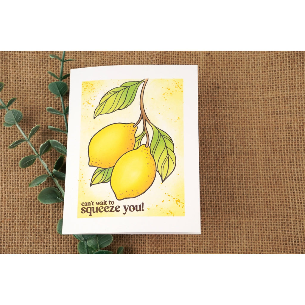 Simon Says Stamps and Dies Squeeze You set1293sy Every Happiness Natasha Foote Lemons Squeeze You Card