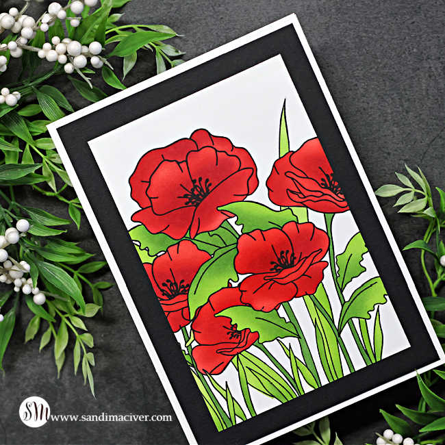 Simon Says Stamps and Stencils Poppy Field set649pf Out Of This World Veterans Day Card Sandi MacIver | color-code:ALT03