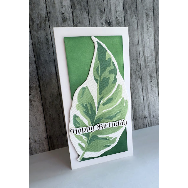 Simon Says Stencils and Dies White Fusion set953wf Rain or Shine Birthday Card | color-code:ALT08 Lisa Addesa Mini-Slimline