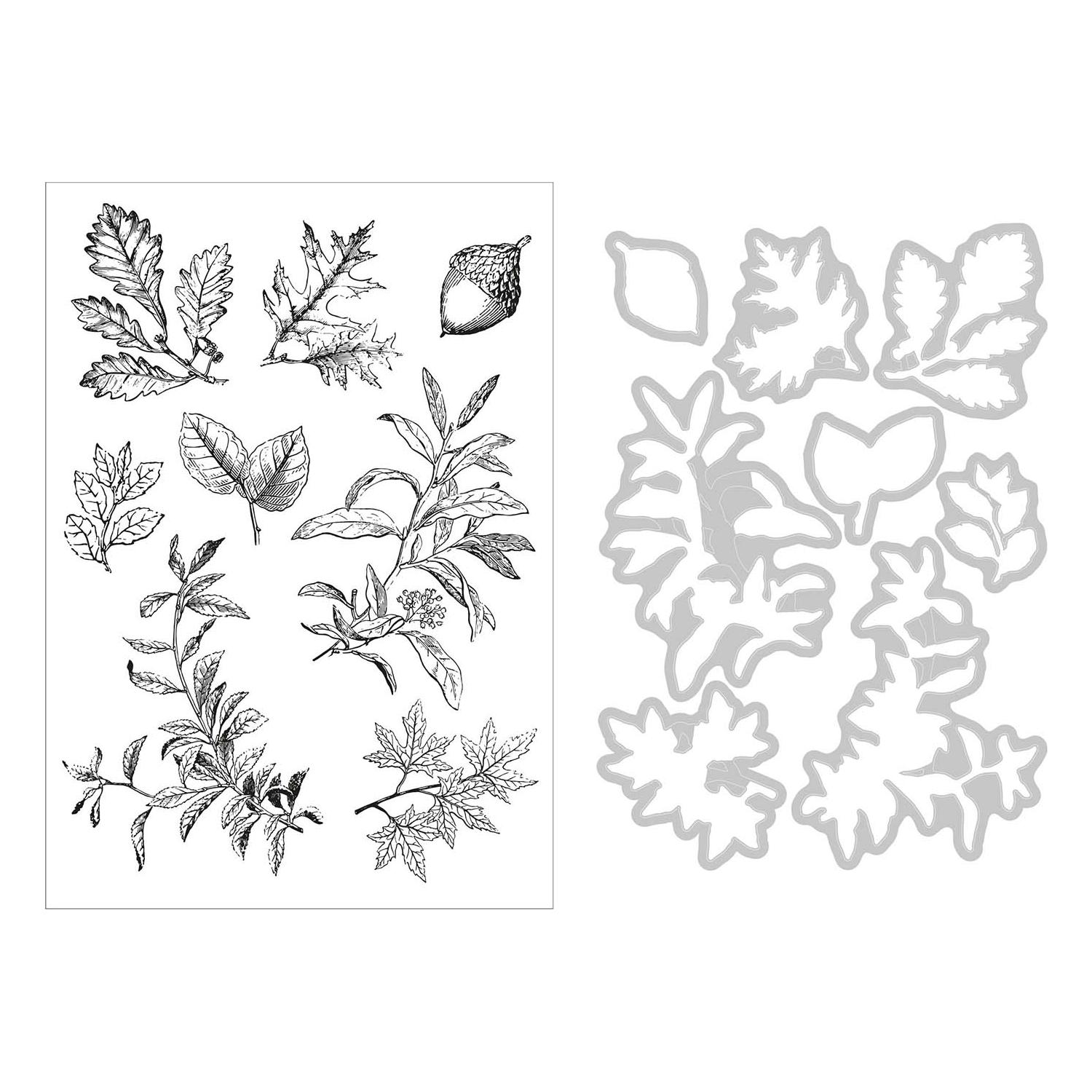 Sizzix and 49 and Market Forever Leaves Die and Stamp Set 666706 line art