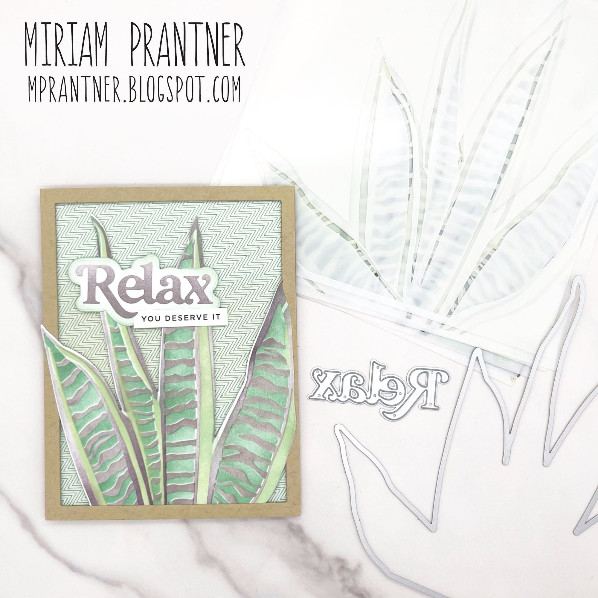 Simon Says Stamp Stencils and Dies Snake Plant set989sp Moments in Time Relax Card | color-code:ALT07
