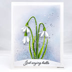 Simon Says Stamp Snowbell Bouquet Wafer Dies s984 Rain or Shine Hello Card