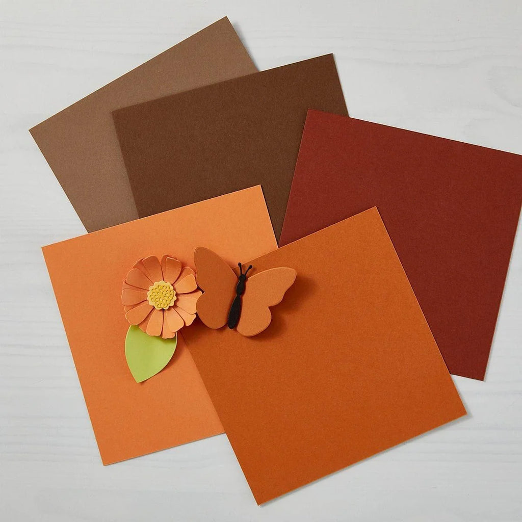 Spellbinders Acorn ColorWheel Cardstock 8.5x11 cs-8-143 autumn