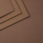 Spellbinders Acorn ColorWheel Cardstock 8.5x11 cs-8-143 up close