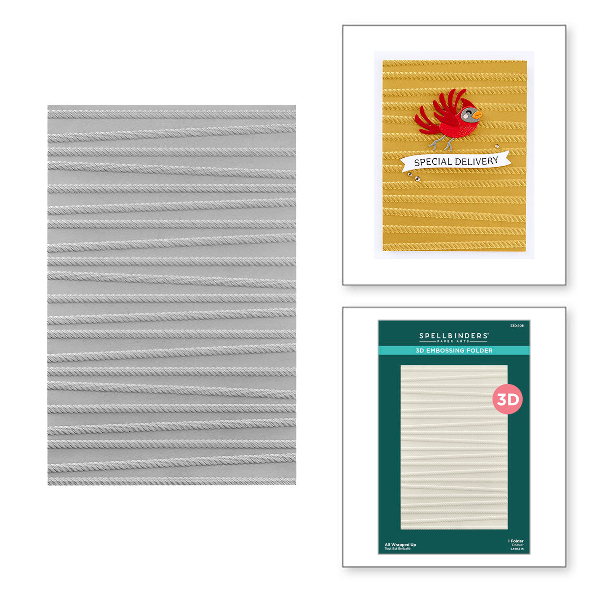 Spellbinders All Wrapped Up 3D Embossing Folder e3d-108