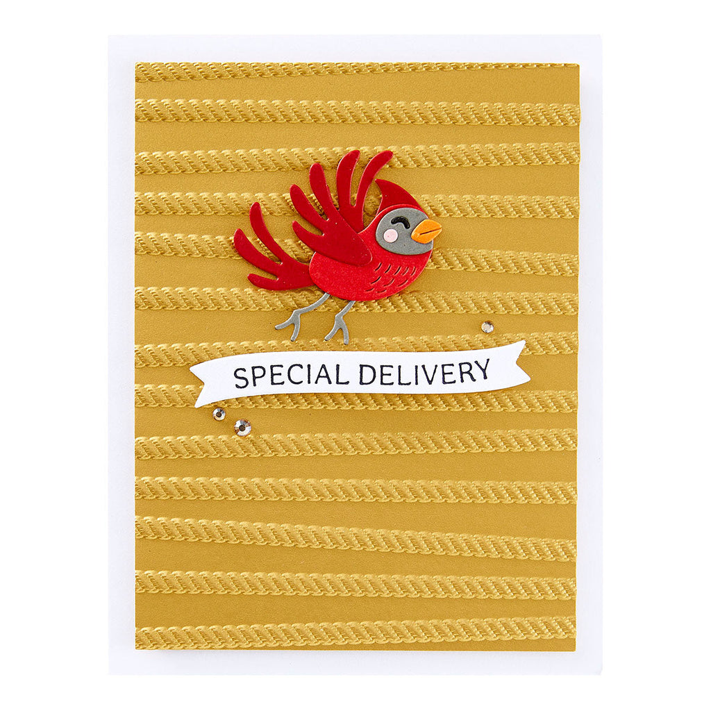 Spellbinders All Wrapped Up 3D Embossing Folder e3d-108