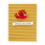 Spellbinders All Wrapped Up 3D Embossing Folder e3d-108