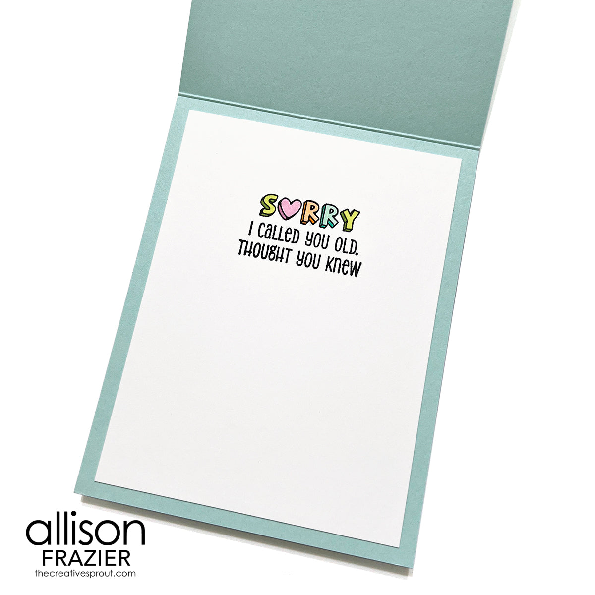 Spellbinders Birthday Laughs Sentiments Clear Stamp Set stp-264 sorry