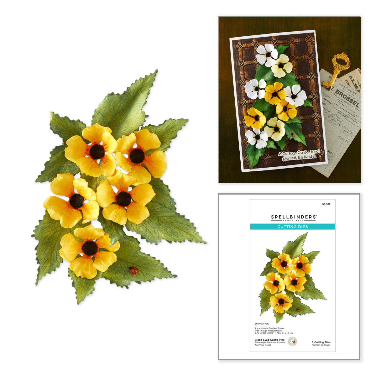 Spellbinders Black Eyed-Susan Vine Etched Dies s3-589