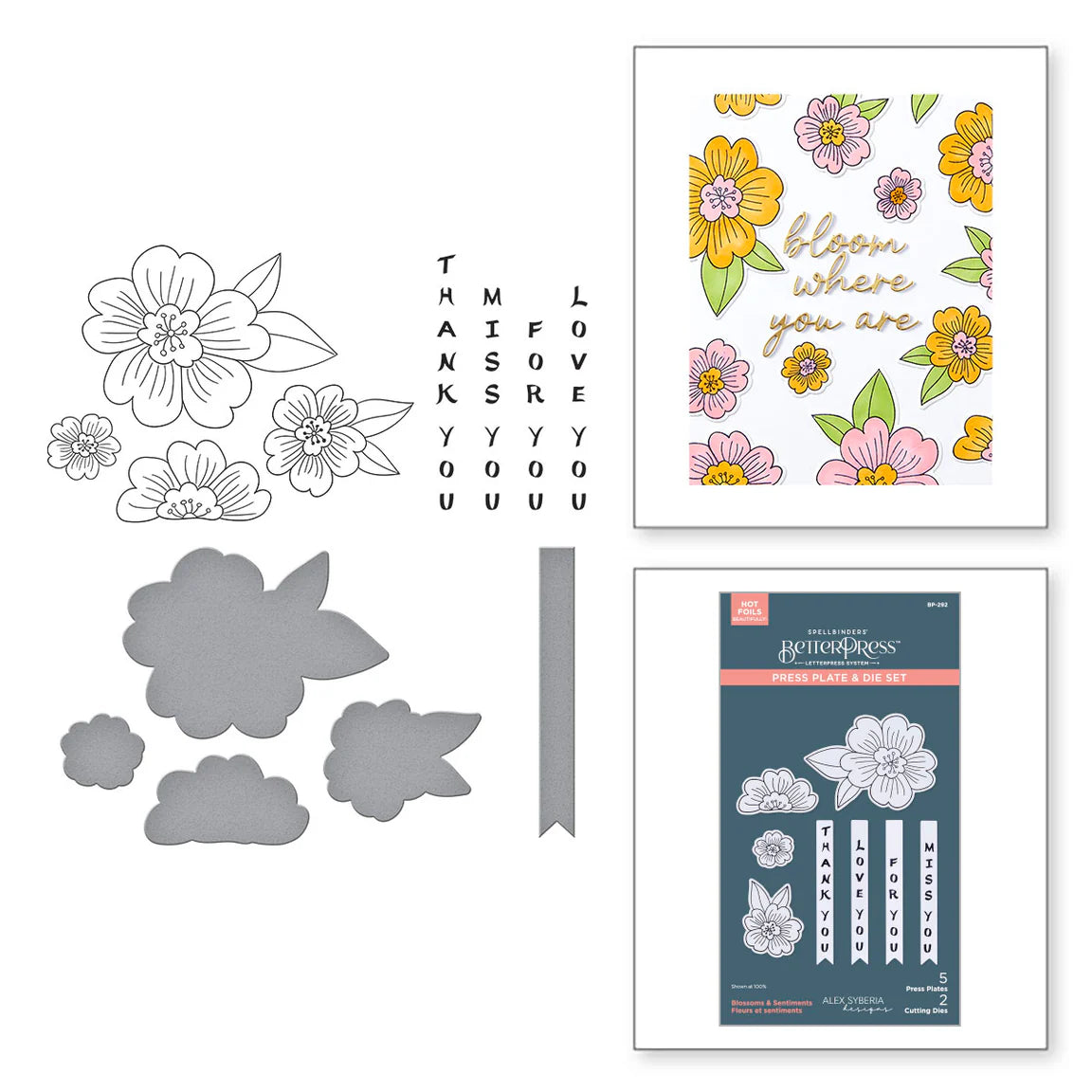 Spellbinders Blossoms and Sentiments BetterPress Plate and Die Set bp-292