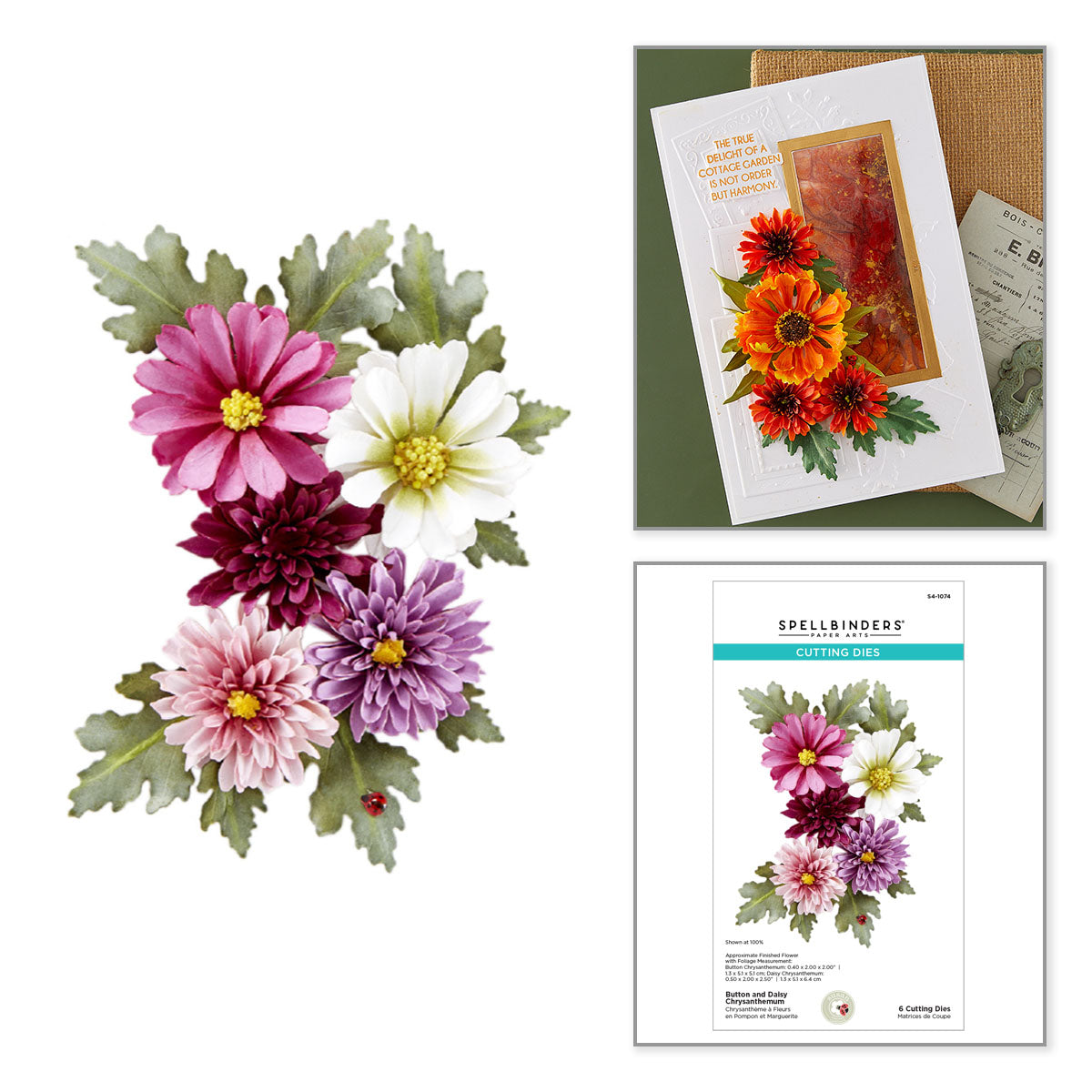 Spellbinders Button and Daisy Chrysanthemum Etched Dies s4-1074