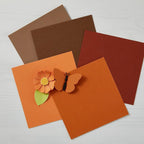 Spellbinders Carrot ColorWheel Cardstock 8.5x11 cs-8-112 autumn