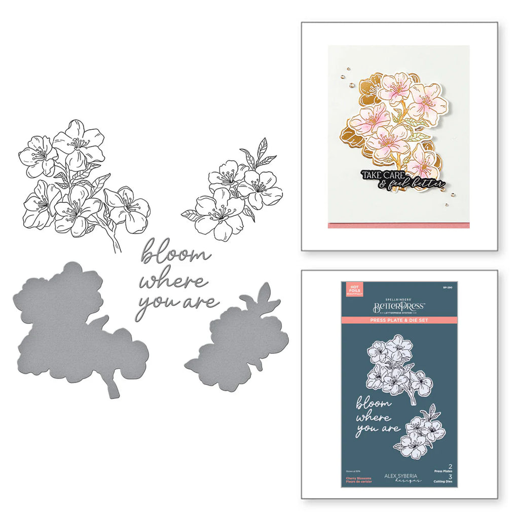 Spellbinders Cherry Blossoms BetterPress Plate and Die Set bp-290