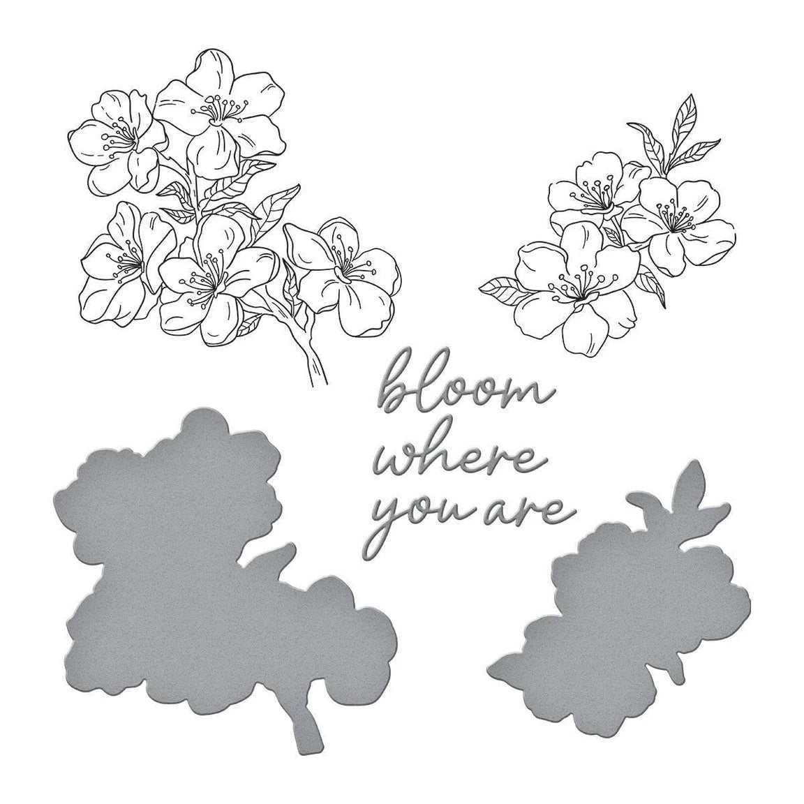Spellbinders Cherry Blossoms BetterPress Plate and Die Set bp-290