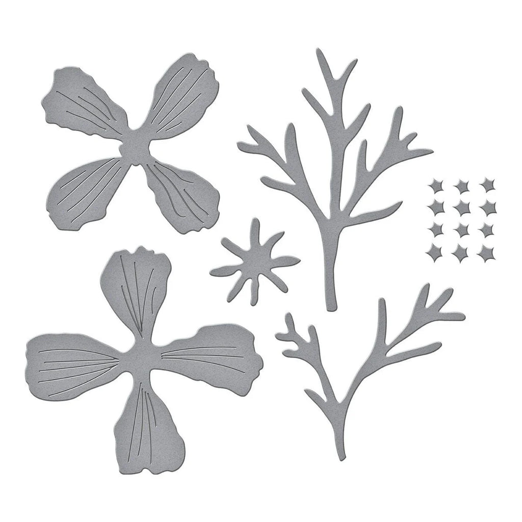 Spellbinders Cosmos Etched Dies s4-1436 pieces