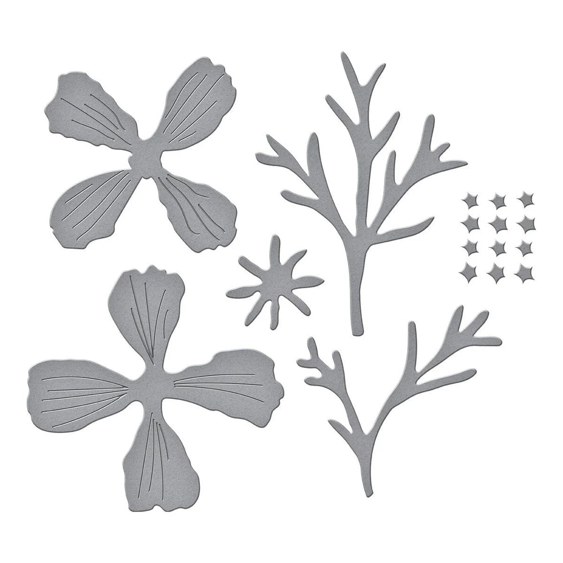 Spellbinders Cosmos Etched Dies s4-1436 pieces