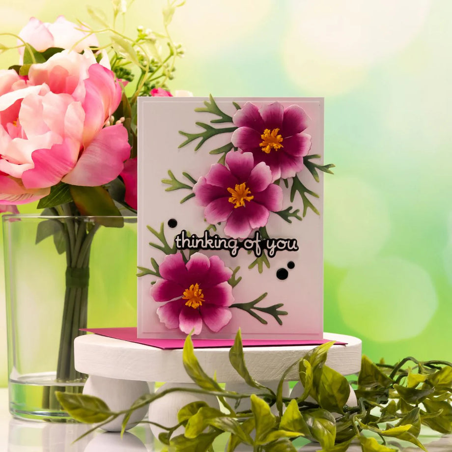 Spellbinders Cosmos Etched Dies s4-1436 – Simon Says Stamp