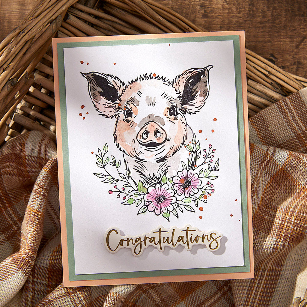 Spellbinders Daisy BetterPress Plate and Die Set bp-232 congratulations