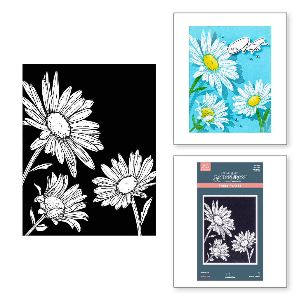 Spellbinders Daisy Trio Press Plate bp-299