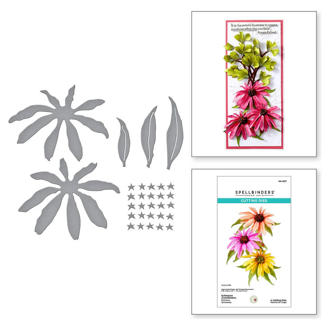 Spellbinders Echinacea Etched Dies s4-1437
