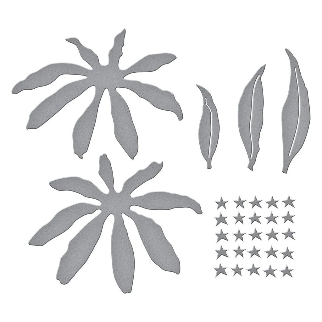 Spellbinders Echinacea Etched Dies s4-1437 pieces