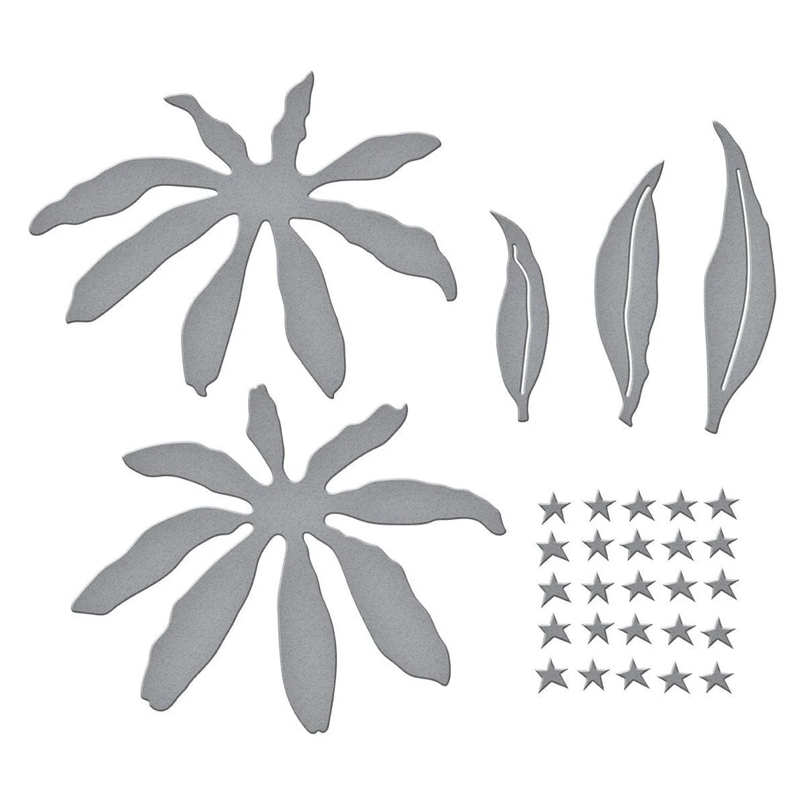 Spellbinders Echinacea Etched Dies s4-1437 pieces