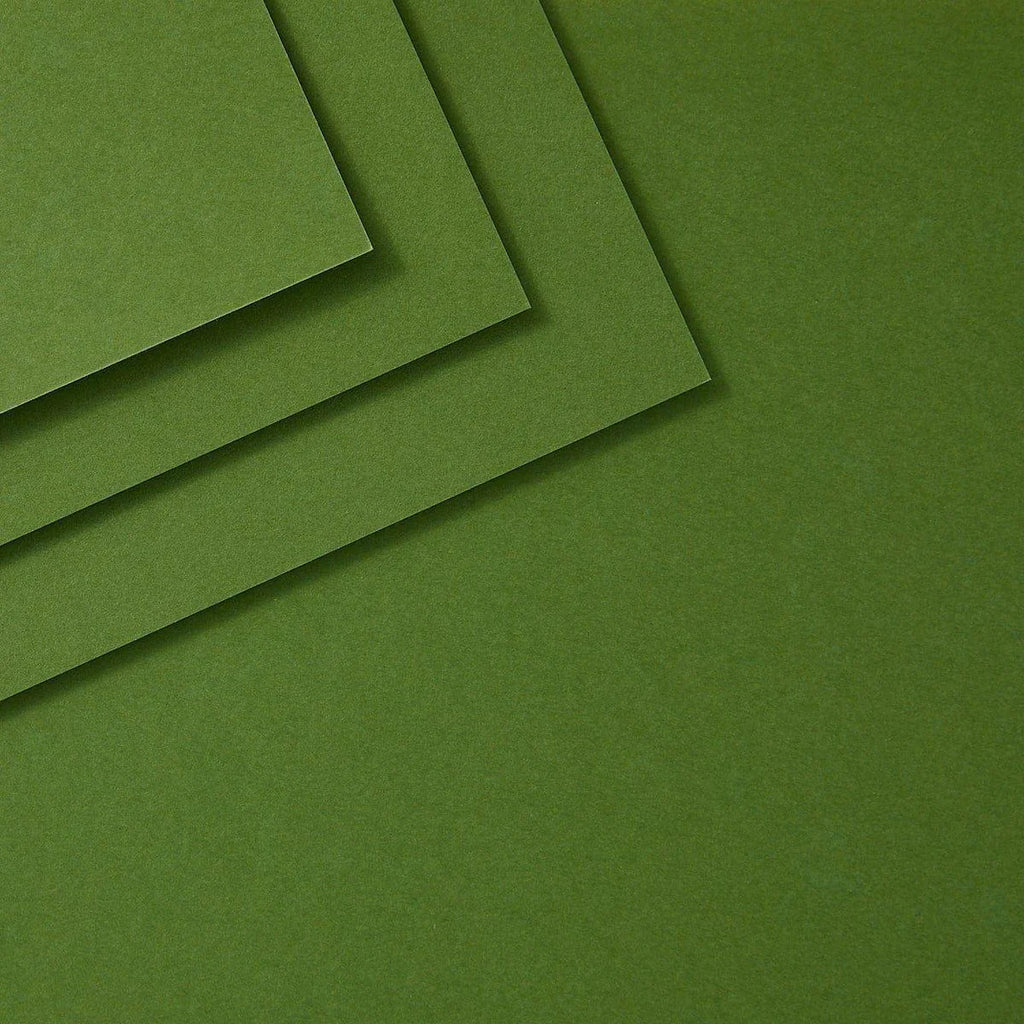 Spellbinders Fern ColorWheel Cardstock 8.5x11 cs-8-120 up close