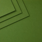 Spellbinders Fern ColorWheel Cardstock 8.5x11 cs-8-120 up close
