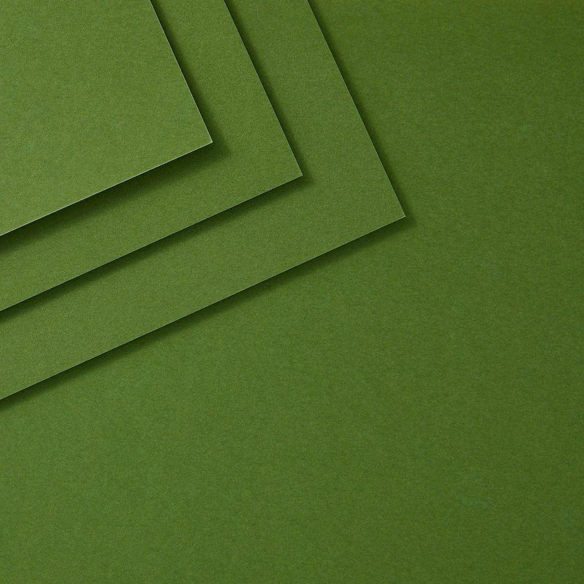 Spellbinders Fern ColorWheel Cardstock 8.5x11 cs-8-120 up close