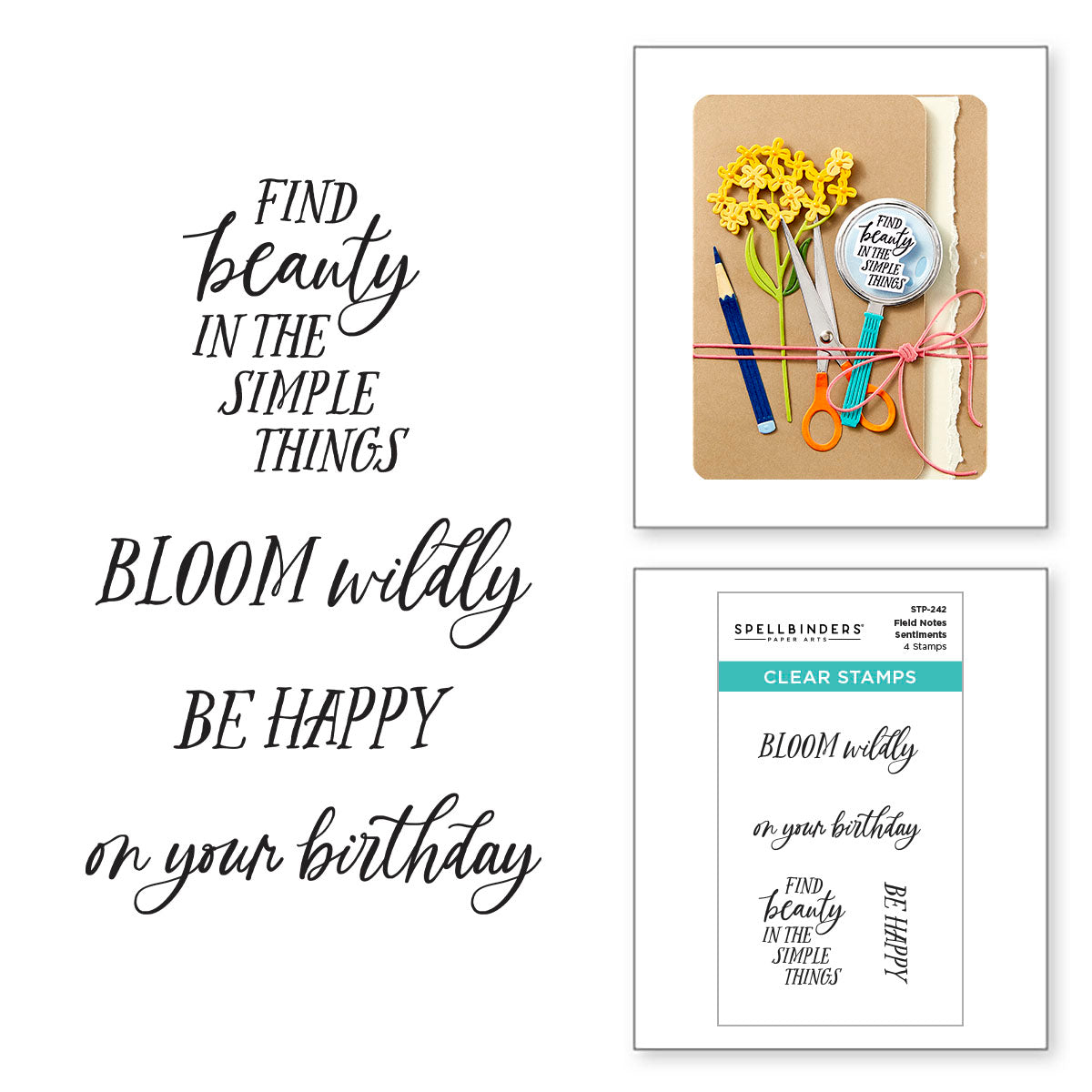 Spellbinders Field Notes Sentiments Clear Stamps stp-242