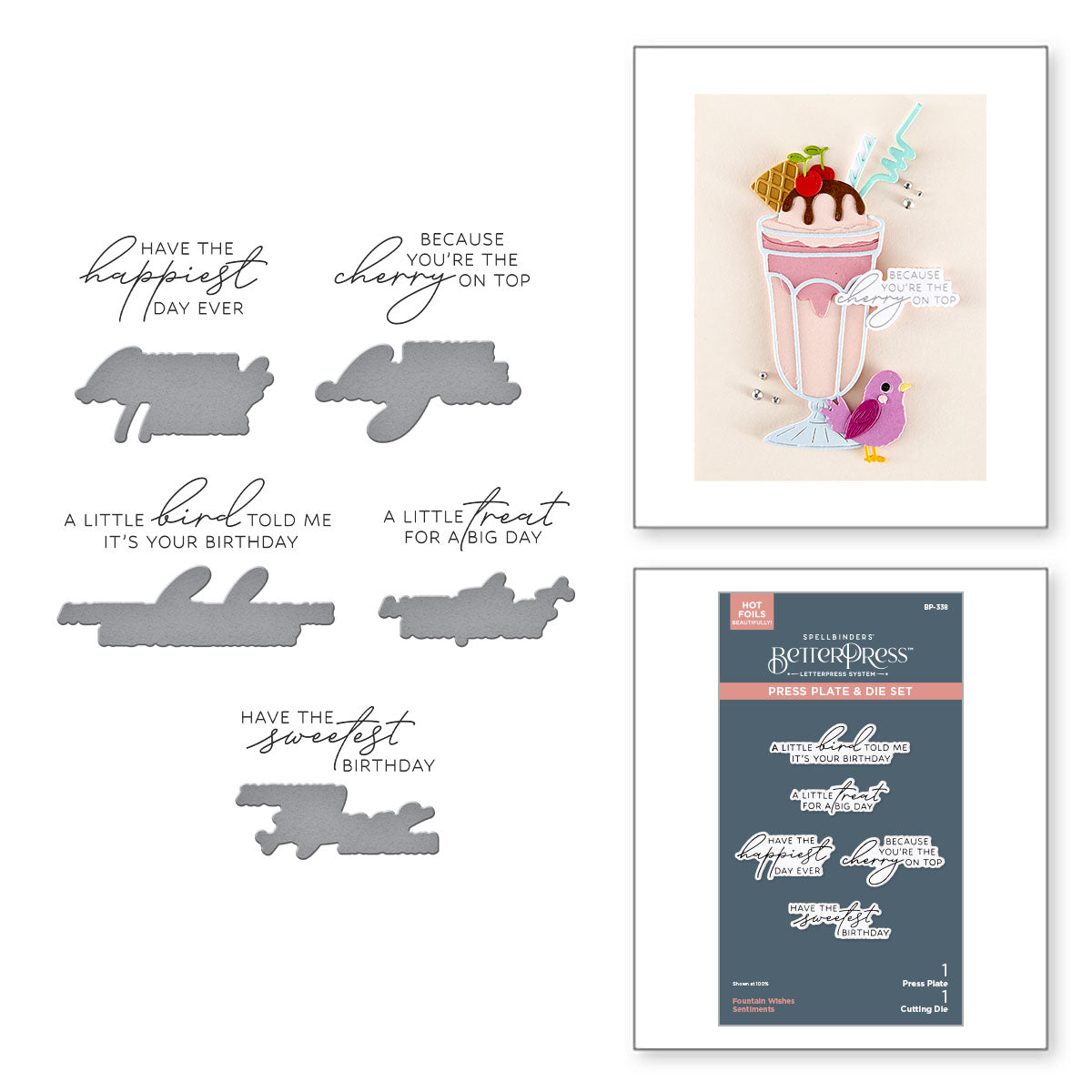 Spellbinders Fountain Wishes Sentiments BetterPress Plate and Die Set bp-338