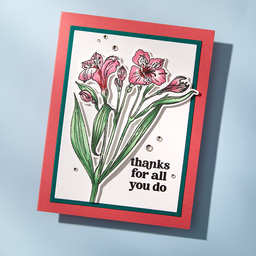 Spellbinders Heartfelt Blooms Simon Hurley Coordinating Dies s6-251 thanks