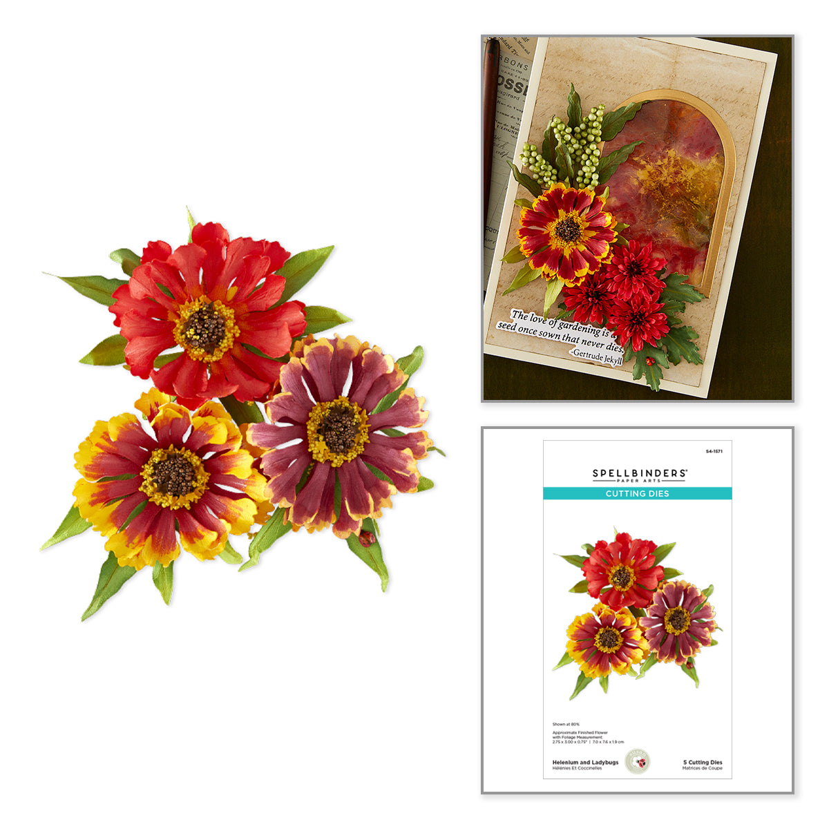 Spellbinders Helenium and Ladybugs Etched Dies s4-1571