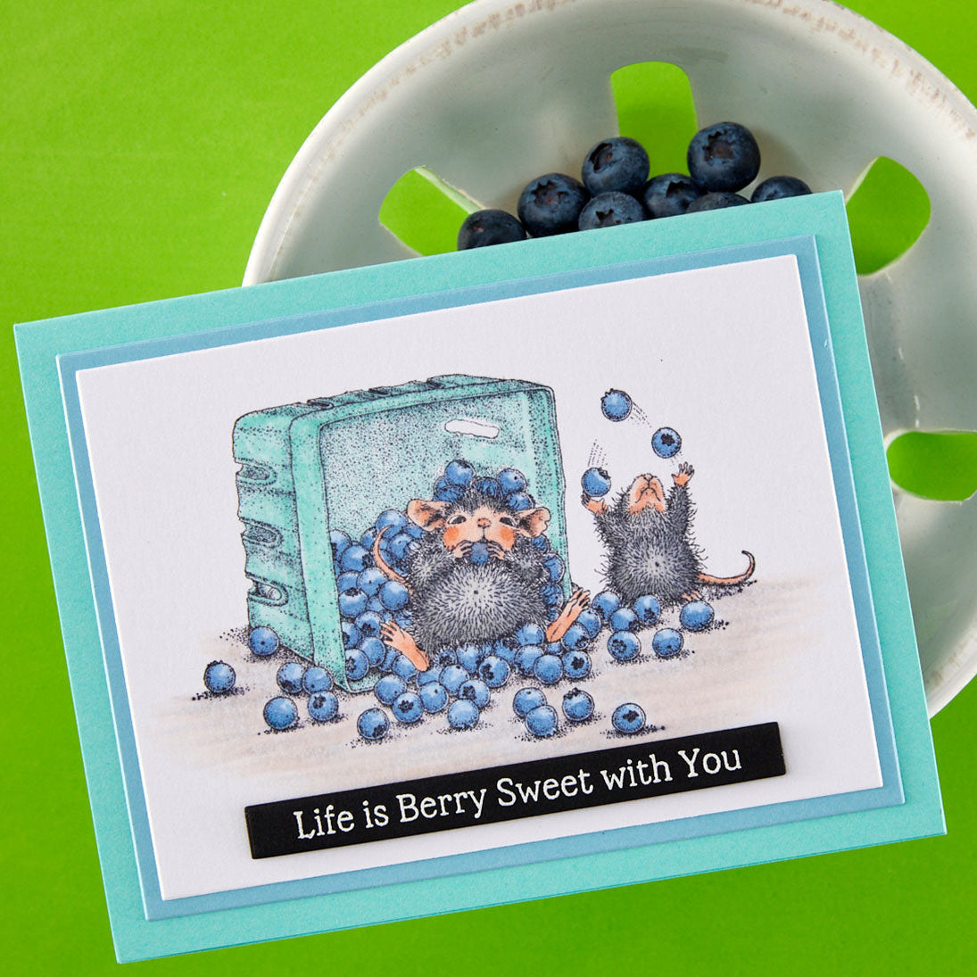 Spellbinders House Mouse Blueberry Buddies Cling Stamp Set rsc-073 berrry sweet