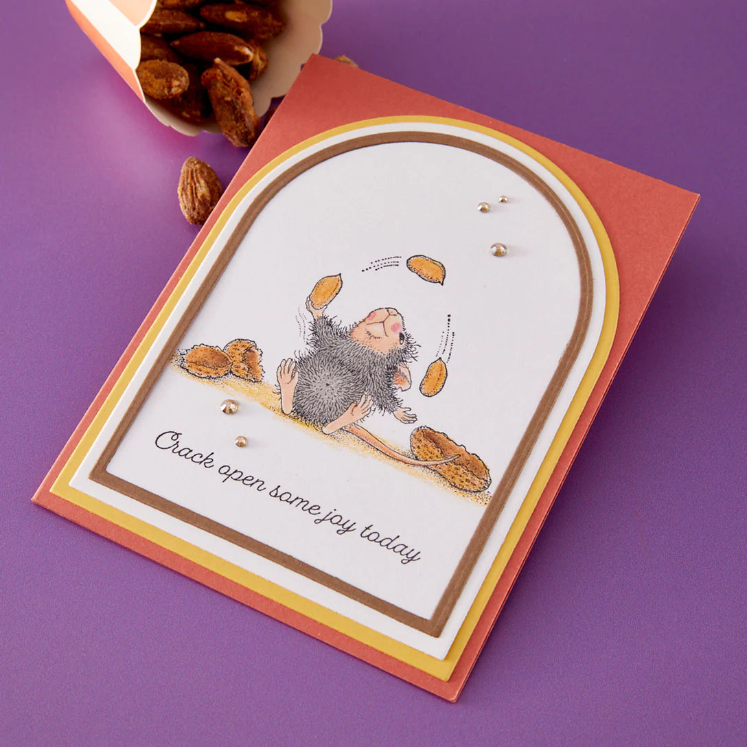 Spellbinders House Mouse Nuts about You Cling Stamps rsc-070 crack open