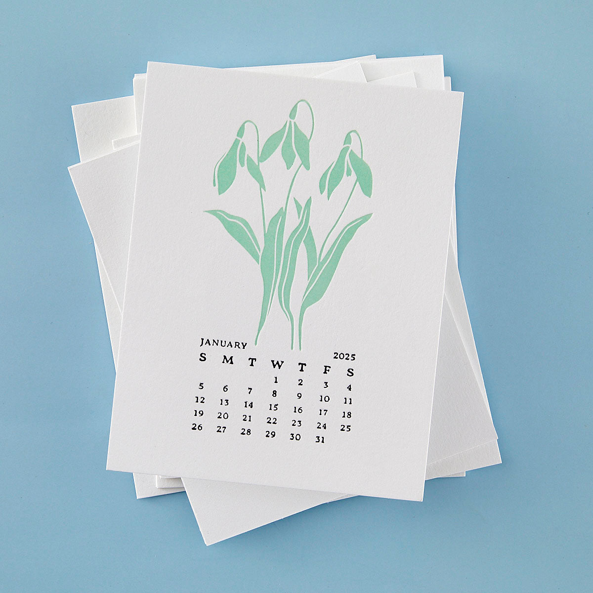 Spellbinders January Snowdrop Press Plates bp-245 calendar