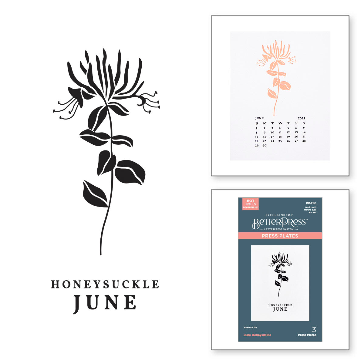 Spellbinders June Honeysuckle Press Plates bp-250