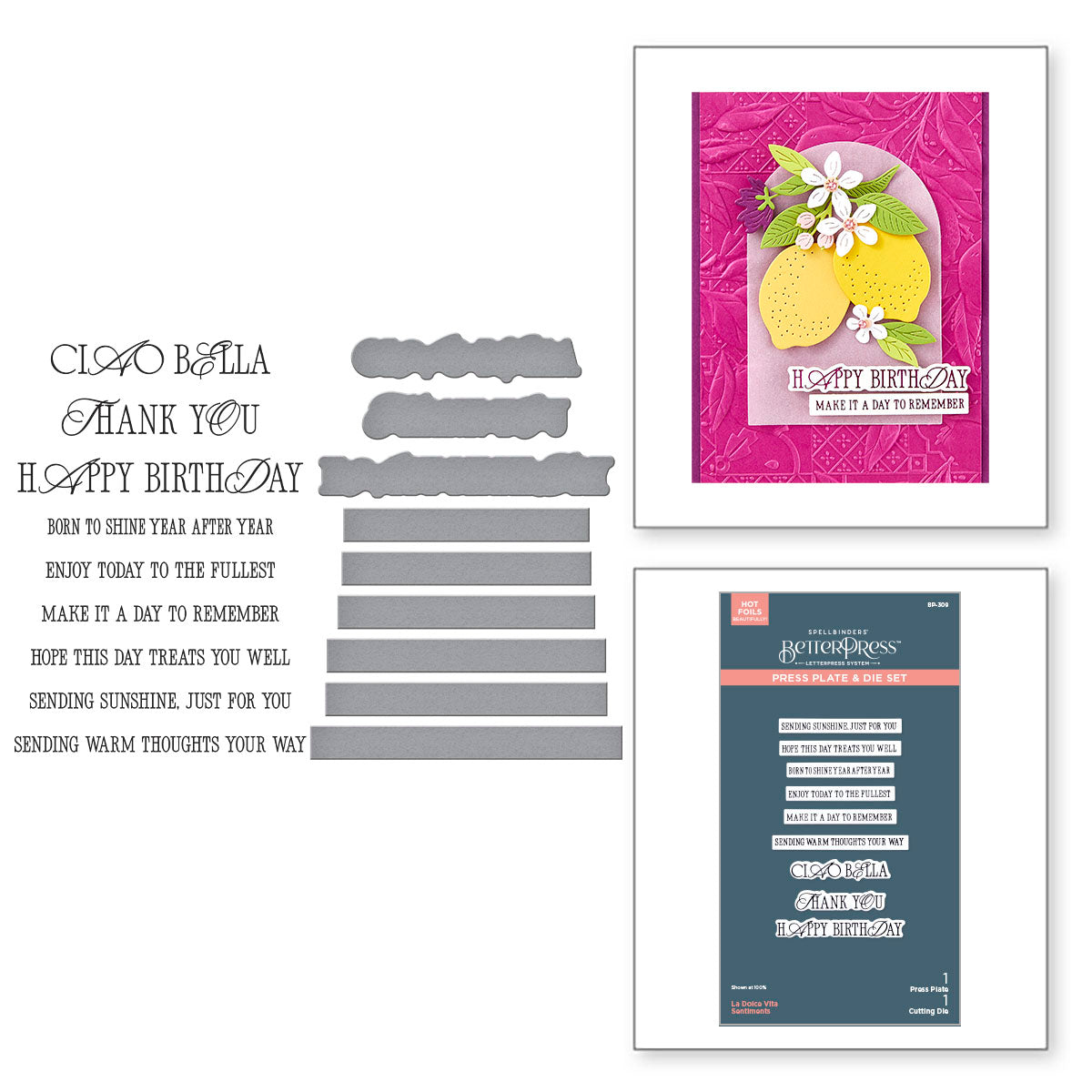 Spellbinders La Dolce Vita Sentiments BetterPress Plate and Die Set bp-309