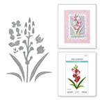 Spellbinders Layered Gladiolus Etched Dies s4-1429