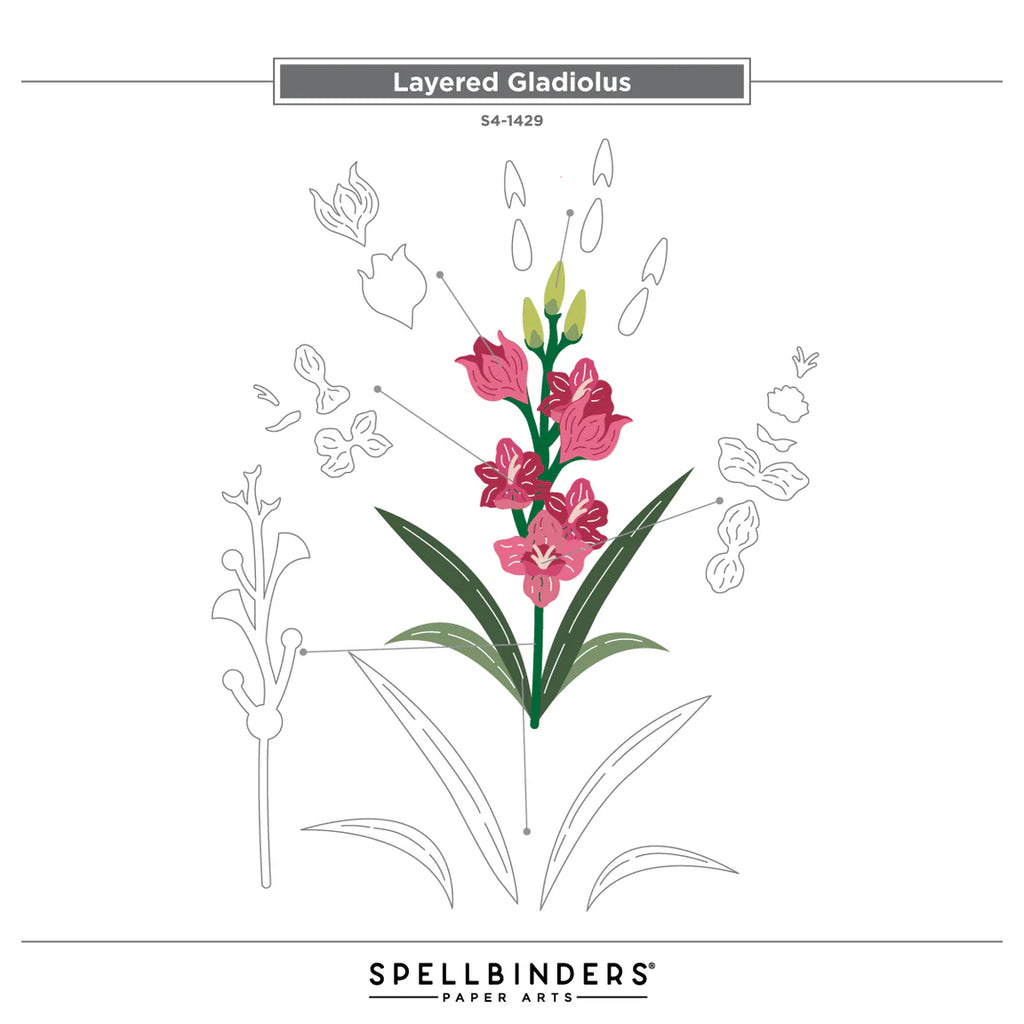 Spellbinders Layered Gladiolus Etched Dies s4-1429 pieces