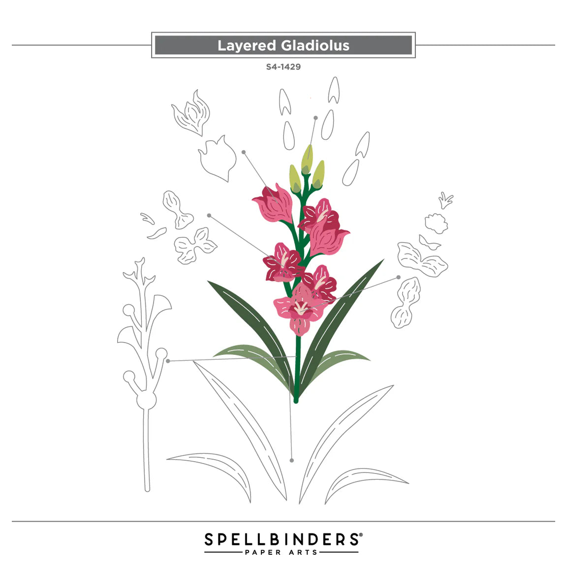 Spellbinders Layered Gladiolus Etched Dies s4-1429 pieces
