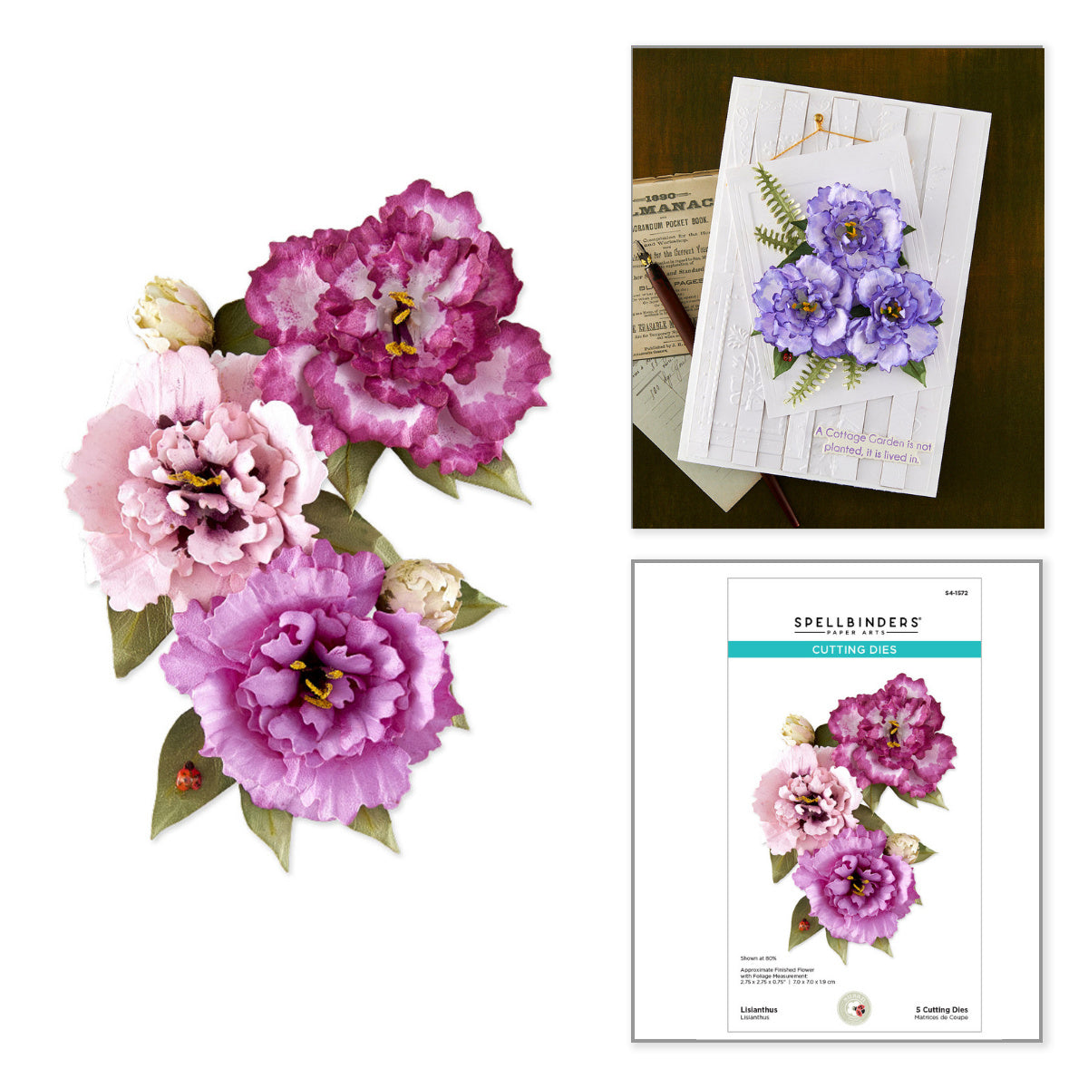 Spellbinders Lisianthus Etched Dies s4-1572