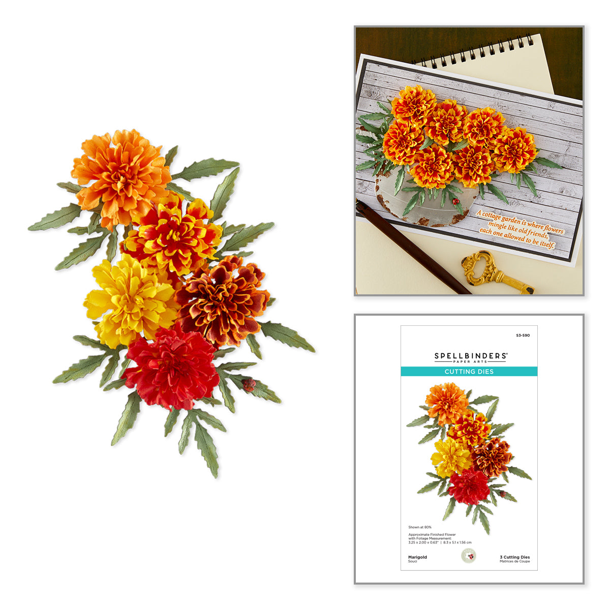 Spellbinders Marigold Etched Dies s3-590