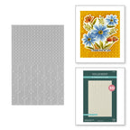 Spellbinders Polka Dot and Posy Duo 3D Embossing Folder e3d-143
