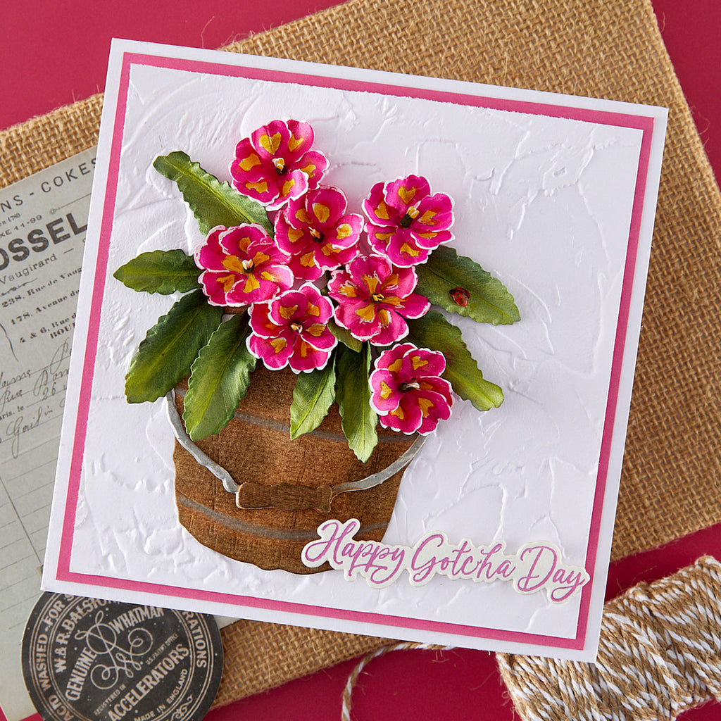 Spellbinders Primrose Etched Dies s2-447 happy gotcha day
