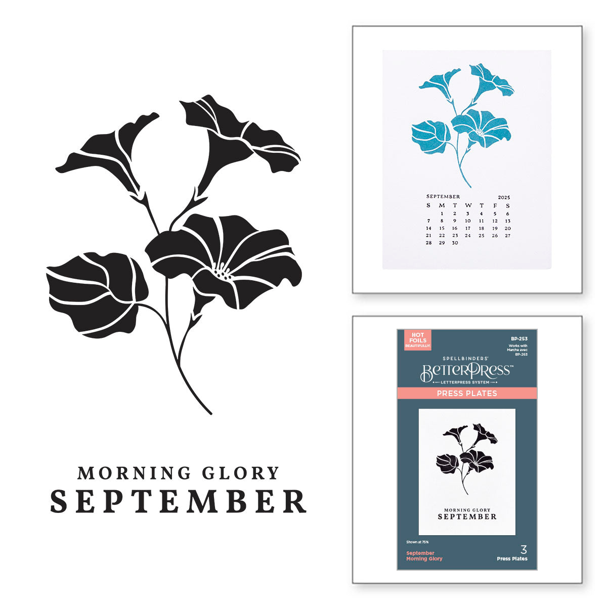 Spellbinders September Morning Glory Press Plates bp-253