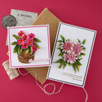 Spellbinders Serenity Garden Die and Folder Bundle bd-1052 happy gotcha day